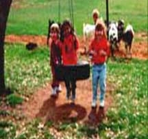 Young girls playing on a tire swing.