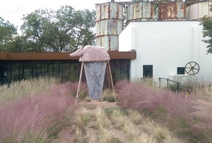 native_grasses_science_mill_center_cropped