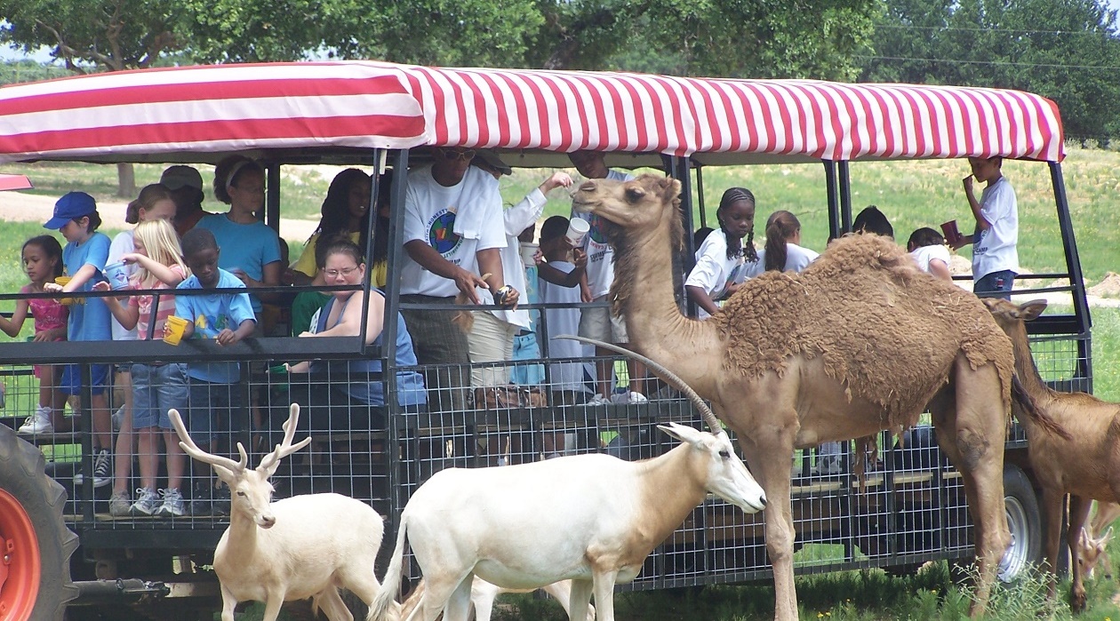 tour_1260x700 People on a tour looking at animals