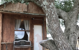 Bear’s Den patio and tree.