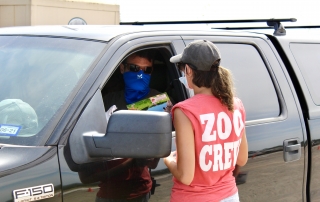 Employee talking to guest in their car.