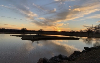 Sunset on Pedernales River