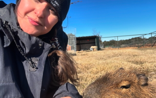 DDCDE02B-5F95-4F2F-87EE-8DFA82FAD678