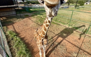 191779D5-47B5-4CC7-A32D-A96E58D4B748