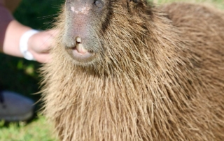 389920afab058991b23268af5ab9cfef