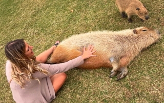 F22494C7-70B0-480B-8991-5437CC22EBD2