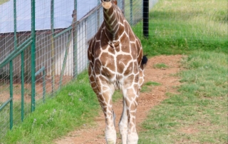 abfb5b8a9753649fe6bd96ae3307a0ec